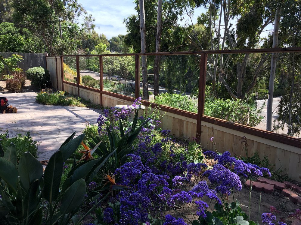 Steel and wire garden fence with flowering landscaping